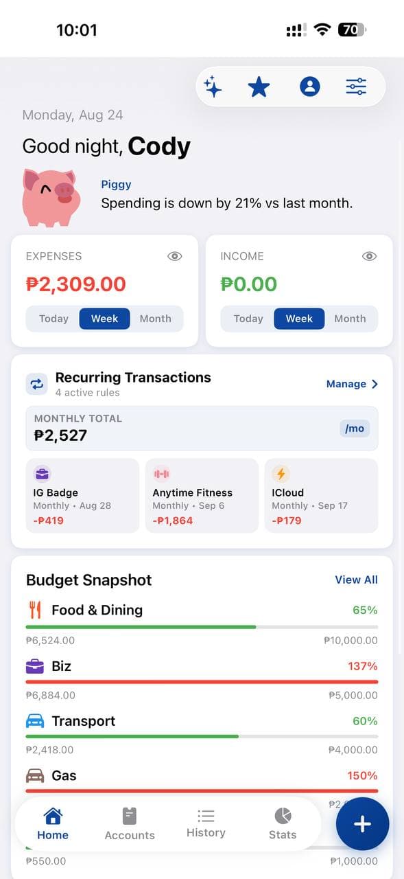 Piggy Money Manager mobile experience, view 1