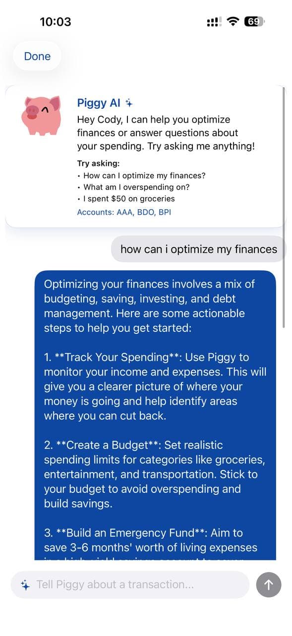 Piggy Money Manager mobile experience, view 3